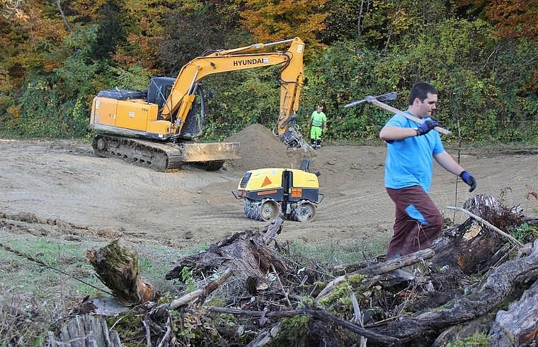 Naturschutzzone «Buech-Steiacher»: Zivildienstleute und Bagger an der Arbeit. Foto: AG