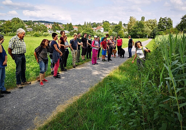 <em>Interessante Informationen:</em> Wanderleiterin Michèle Jörg erläutert zwischen Schloss Hallwyl und Seenger Schiffsteg an der Seetaler Wanderung die Wirkung von verschiedenen Pflanzen am Wegrand. Foto: Fritz Thut