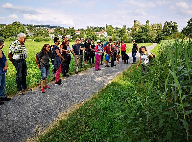 <em>Interessante Informationen:</em> Wanderleiterin Michèle Jörg erläutert zwischen Schloss Hallwyl und Seenger Schiffsteg an der Seetaler Wanderung die Wirkung von verschiedenen Pflanzen am Wegrand. Foto: Fritz Thut