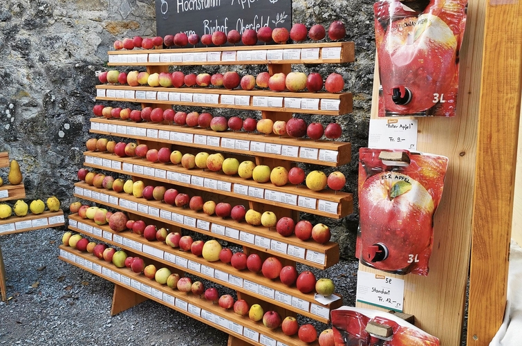 Sieht gut aus und duftet herrlich: Eine Vielzahl Apfelsorten.Foto: Verena Schmidtke