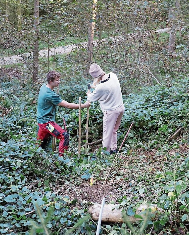 Unter Anleitung der Forstdienste: Nikin-Kunde pflanzt einen Baum. Foto: Tanja Isler