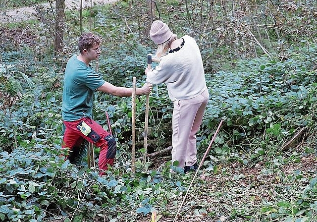 Unter Anleitung der Forstdienste: Nikin-Kunde pflanzt einen Baum. Foto: Tanja Isler