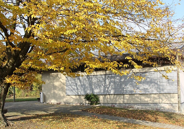 <em>Idylle täuscht über den desolaten baulichen Zustand hinweg:</em> Der Kindergarten Schönbühl in Seon soll abgebrochen werden. Foto: Alfred Gassmann