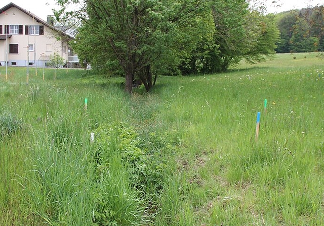 <em>Ungenügende Kapazität:</em> Der Wannenmoosbach wird verlegt und offen gestaltet. Foto: AG
