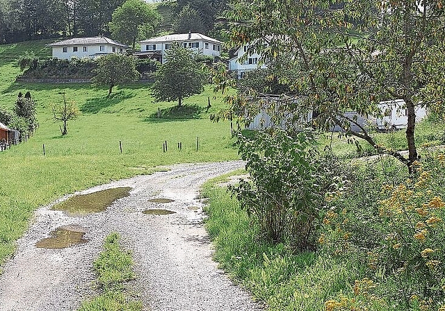 Erschliessung und Überbauung sind aufgezeigt: Heute Wiese, dereinst das Wohnquartier «Oberdorf» in Egliswil. Foto: Alfred Gassmann