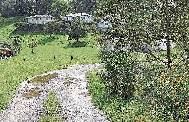 Erschliessung und Überbauung sind aufgezeigt: Heute Wiese, dereinst das Wohnquartier «Oberdorf» in Egliswil. Foto: Alfred Gassmann