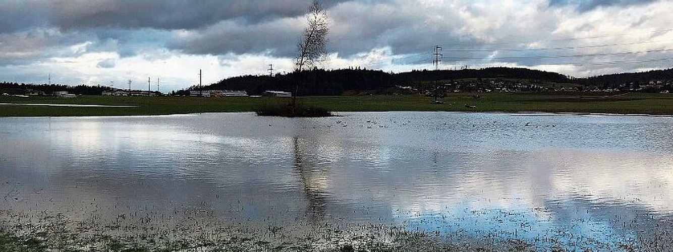 Über die Ufer getreten: Überschwemmtes Kulturland entlang dem Aabach. Foto: Andreas Walker
