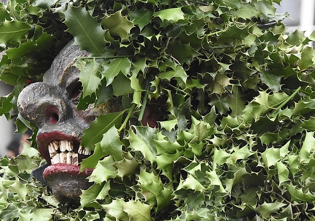 Grimmiger «Stachbäumig»: Er kommt mit schwerem, stacheligem Naturkleid daher. Auch seine Umarmung soll Glück bringen. (Fotos: Andreas Walker)
