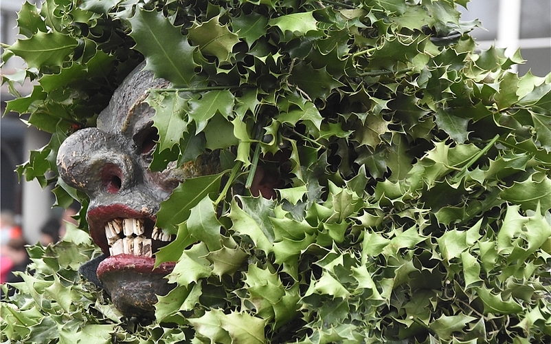 Grimmiger «Stachbäumig»: Er kommt mit schwerem, stacheligem Naturkleid daher. Auch seine Umarmung soll Glück bringen. (Fotos: Andreas Walker)