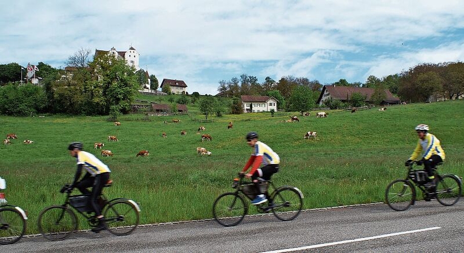 Zügig unterwegs: Das Peloton fährt unterhalb des Schlosses Wildegg vorbei. Foto: Ruedi Burkart
