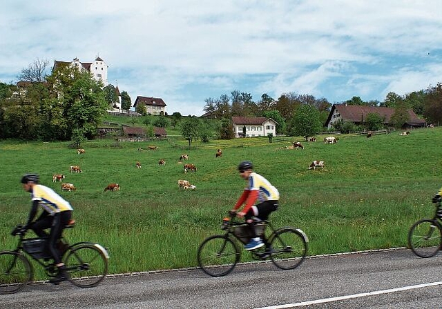 Zügig unterwegs: Das Peloton fährt unterhalb des Schlosses Wildegg vorbei. Foto: Ruedi Burkart
