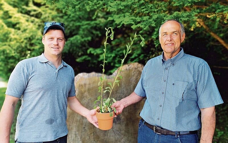 Symbolische Übergabe: Adrian Lüscher übernimmt von Matthias Schatzmann die Neophyten-Verantwortlichkeit für Seon. Foto: Fritz Thut