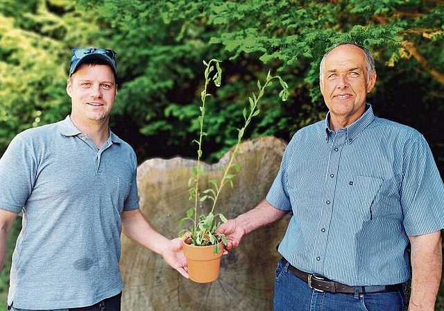 Symbolische Übergabe: Adrian Lüscher übernimmt von Matthias Schatzmann die Neophyten-Verantwortlichkeit für Seon. Foto: Fritz Thut