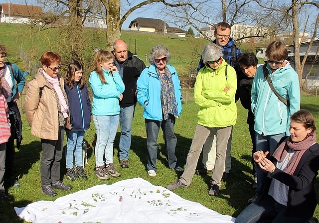 Erläuterungen am Start: Expertin Maya Tea (rechts) beim Spaziergang zu den Frühblühern in Lenzburg. Foto: Alfred Gassmann