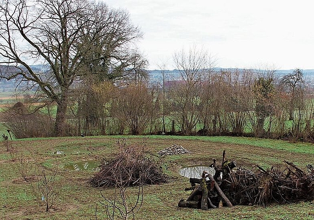 Weitgehend erstellt: Die Amphibienförderungsmassnahmen in den «Chriegächer». Foto: AG