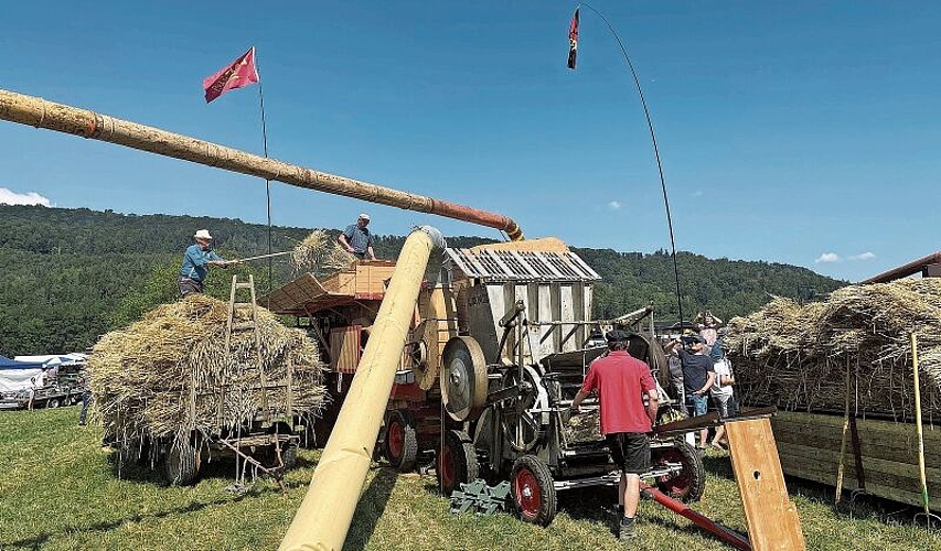 Von einem Traktor angetriebener Getreidedrescher: Gefüttert wird der Drescher mit Garben, die vor einigen Wochen mit einem alten Garbenbinder geerntet wurden. Foto: Hanny Dorer