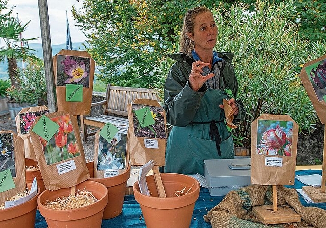 Doppelt so tief und genug Abstand: Schlossgärtnerin Tanya van der Laan erteilte gerne Ratschläge zum richtigen Pflanzen der Tulpenzwiebeln.  Foto: Peter Winkelmann
