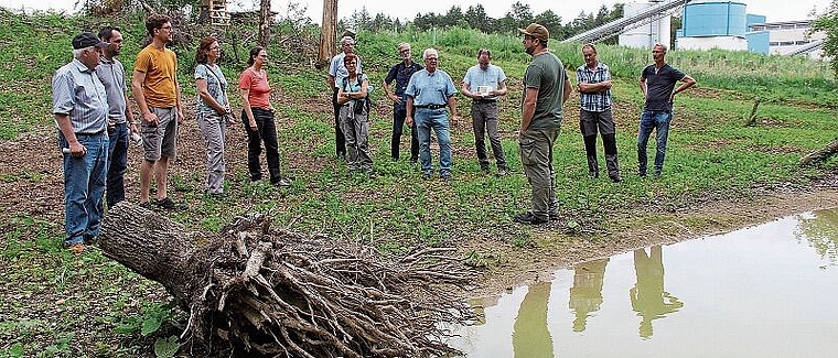 Ökologische Ausgleichsflächen besichtigt: Rundgang im Kieswerk der Lenzburger Ortsbürger. Foto: Alfred Gassmann