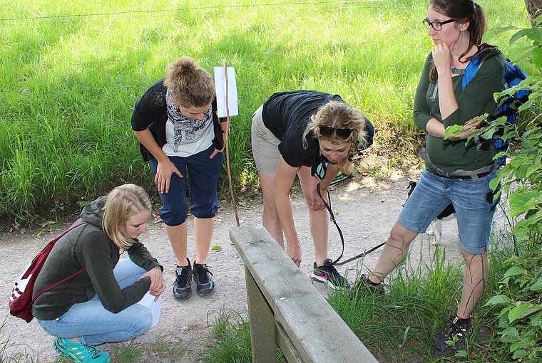 Auf Spurensuche: Die Lehrerinnen versuchen herauszufinden, welches Tier hier seine Spuren hinterlassen hat. Foto: ASt