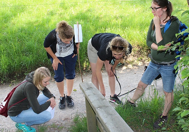 Auf Spurensuche: Die Lehrerinnen versuchen herauszufinden, welches Tier hier seine Spuren hinterlassen hat. Foto: ASt