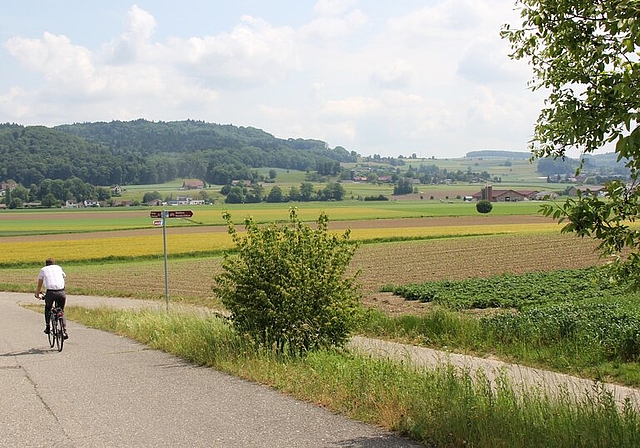 Meliorationsgebiet: Die Mängel sind nicht auf den ersten Blick ablesbar. Foto: Alfred Gassmann