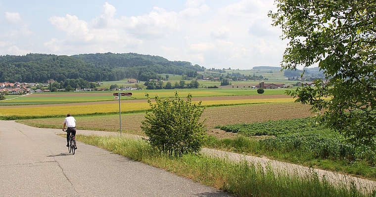Meliorationsgebiet: Die Mängel sind nicht auf den ersten Blick ablesbar. Foto: Alfred Gassmann