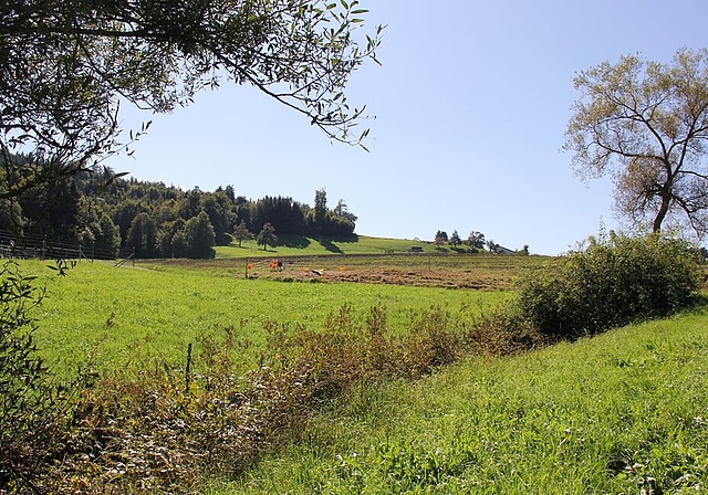 <em>Tolle Nachricht an die Natur:</em> Ab dem Krebsbach in Richtung Wald wird der Heerelochbach geöffnet. Foto: Alfred Gassmann