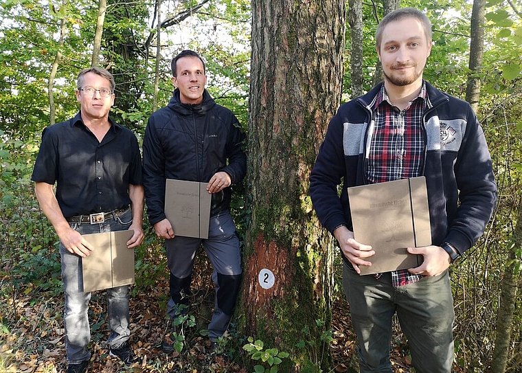 <em>Die Verantwortlichen der «Himmlischen Eichen» am Staufberg:</em> Markus Schmid, Verkaufsleiter Markus Dietiker von den Forstdiensten Lenzia und Forst-Praktikant Fabien Treichler, der das Projekt vorbereitet hat, neben einer nummerierten Lärche