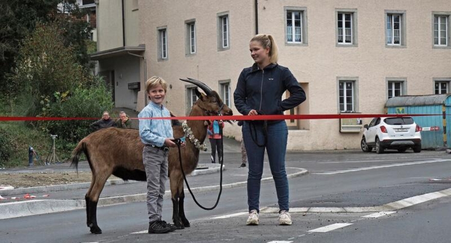 Elvis ist sich sicher: Die neue Aabachbrücke wird wohl weitere 200 Jahre sicher sein.Foto: Rinaldo Feusi