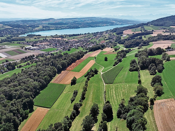 Sommer:  Die Wiesen sind gemäht und das reife Korn kann bald geerntet werden.Foto: Andreas Walker