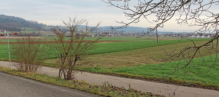 Grundstücke werden neu geordnet: Ein Blick in den Perimeter der Gesamtmelioration.Foto: Alfred Gassmann