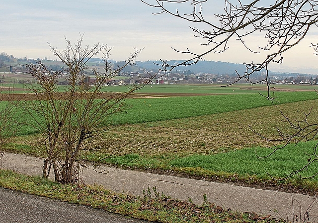 Grundstücke werden neu geordnet: Ein Blick in den Perimeter der Gesamtmelioration.Foto: Alfred Gassmann 