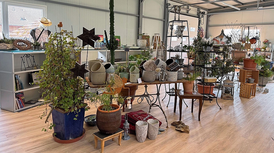 Das Pflanzenbrocki dürfte im Aargau einzigartig sein.Foto: Verena Schmidtke