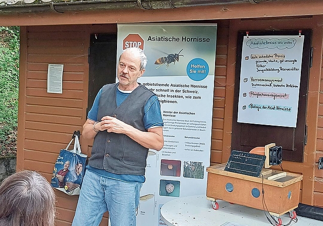 Stefan Neupert, Bieneninspektor und Hornissenexperte, schulte die Imker zur Asiatischen Hornisse.Foto: zvg