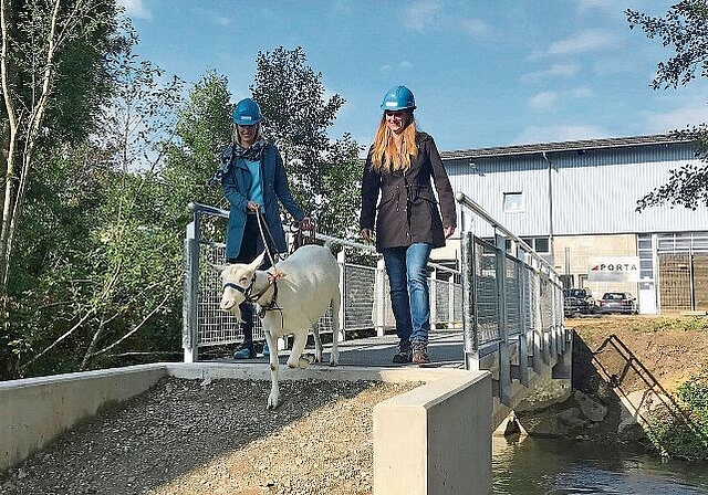 Passierte den Steg als Erste: Geiss «Fräulein Olga» mit Gemeinderätin Denise Berger und Vizeammann Katja Früh aus Staufen. Foto: Mirjam Roth