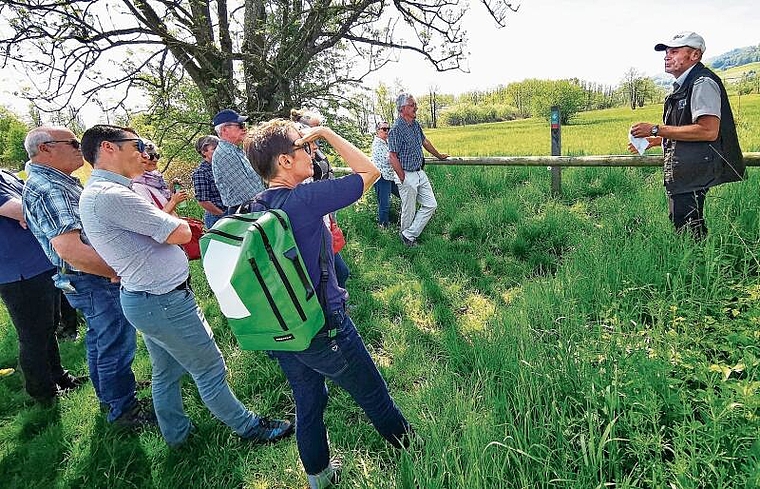 Interessantes vernommen: Grossratspräsidentin Elisabeth Burgener (vorne mit Rucksack) und Kollegen lauschen vor dem Seenger Ried den Ausführungen von Hallwilersee-Chefranger Wilke Scheitlin. Foto: Fritz Thut