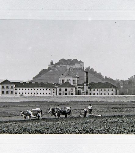 Ein fotografisches Meisterwerk: Vedute eines Bauern auf dem Feld vor der JVA mit Schloss im Hintergrund. Ein fotografisches Meisterwerk des Lenzburger Fotografen Arnold Rohr. Sammlung Museum Burghalde Lenzburg. Foto um 1900.Foto: Arnold Rohr