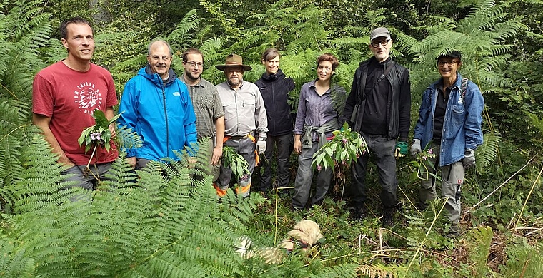 <em>Grosse Zufriedenheit über das Erreichte bei der Neophytenbekämpfung im Lenzburger Wald:</em> Forstdienste-Lenzia-Mitarbeiter und Freiwillige, etwa vom Natur- und Vogelschutzverein, während des samstäglichen Aktionstags. Foto: Fritz Thut