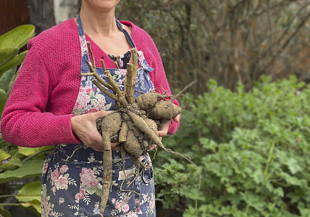 Arbeitet auf Schloss Wildegg: Gärtnerin Tanya van der Laan. Foto: MA/Pascal Meier