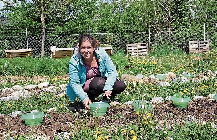 Bei der Gartenarbeit gedeihen nicht nur Gemüsesorten, sondern auch Lösungen: Sozialpädagogin Eva Zurlinden in ihrer Gartenfabrik. Foto: Carolin Frei