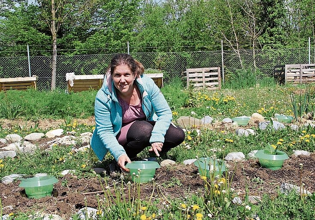 Bei der Gartenarbeit gedeihen nicht nur Gemüsesorten, sondern auch Lösungen: Sozialpädagogin Eva Zurlinden in ihrer Gartenfabrik. Foto: Carolin Frei