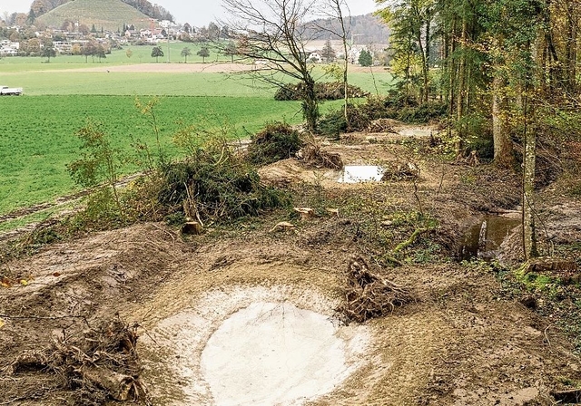 Erst im Winter errichtet, und schon haben sich seltene Amphibienarten gezeigt: Die neuen Tümpel im Bergfeld.Foto: zvg 
