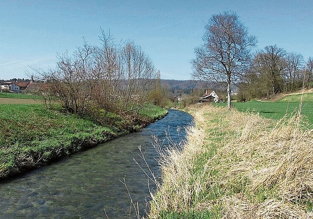 Bünz wird eine Perle der Natur: Heute kommt sie wie ein Kanal daher. Foto: zvg