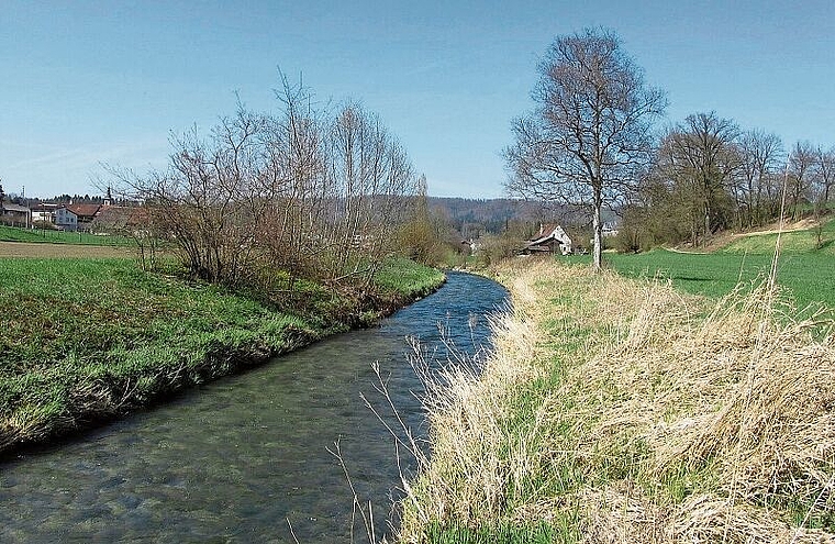 Bünz wird eine Perle der Natur: Heute kommt sie wie ein Kanal daher. Foto: zvg