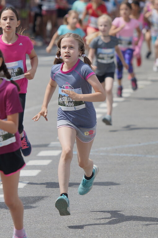 Erst 2021 wieder: Schülerinnen und Schüler am Lenzburger Lauf. Archivfoto: Ruedi Burkart