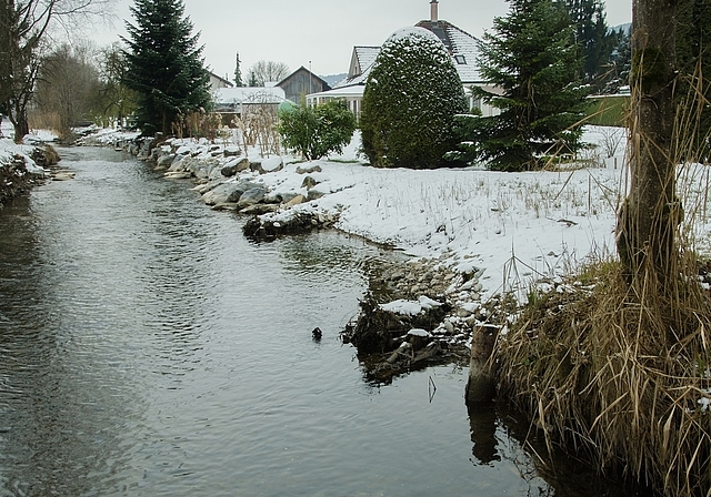 Zum Wohle der Fische: Der Aabach wurde vom Einfluss in den See bei Mosen bachaufwärts auf einer Länge von 650 Metern revitalisiert.
