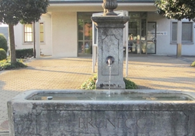 Eines der vierzig Natur- und Kulturobjekte: Brunnen vor dem Gemeindehaus. Foto: Ruth Imholz Strinati