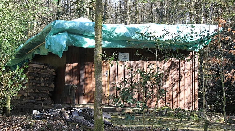 <em>Ein trauriger Anblick:</em> Ein Notdach schützt die sturmgeschädigte Eulenhütte im Lenzburger Wald. Foto: Alfred Gassmann