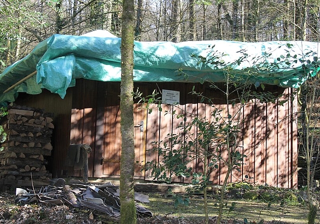 <em>Ein trauriger Anblick:</em> Ein Notdach schützt die sturmgeschädigte Eulenhütte im Lenzburger Wald. Foto: Alfred Gassmann