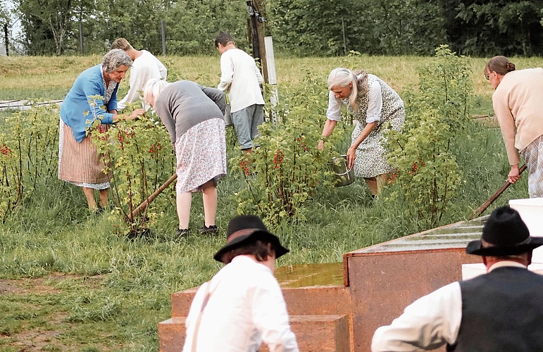 Arbeit in den Beerensträuchern. Arbeit in den Beerensträuchern.